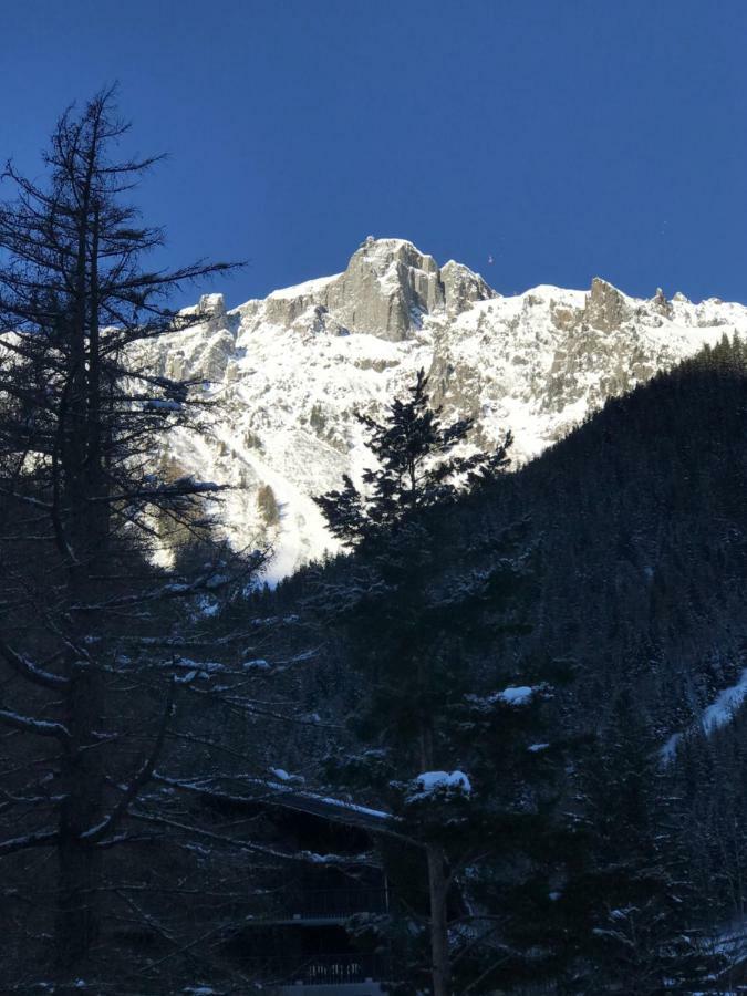 Brevent - Meleze Leilighet Chamonix Eksteriør bilde