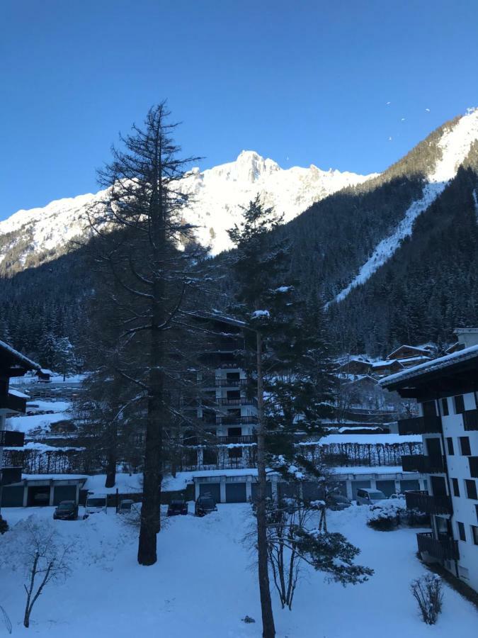 Brevent - Meleze Leilighet Chamonix Eksteriør bilde