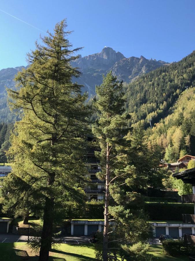 Brevent - Meleze Leilighet Chamonix Eksteriør bilde